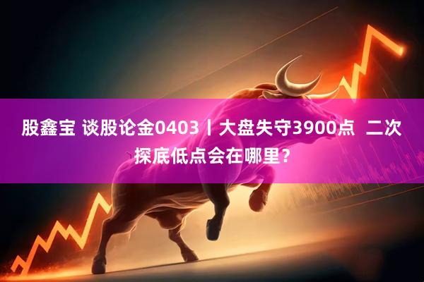股鑫宝 谈股论金0403丨大盘失守3900点  二次探底低点会在哪里？